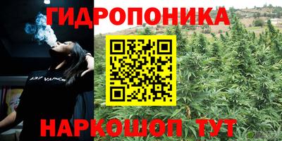 гидра Рыбинск