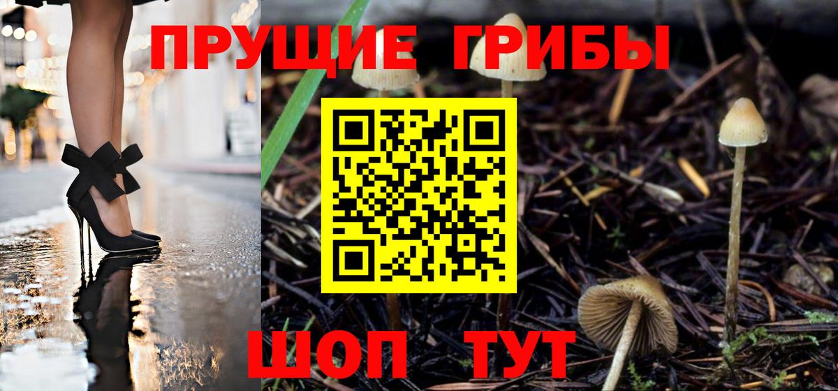 Ступино  Галлюциногенные грибы GOLDEN TEACHER  Псилоцибиновые грибы Magic Shrooms  Вход с VPN 