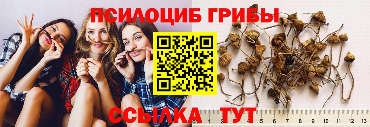 Псилоцибиновые грибы MAGIC MUSHROOMS Ступино